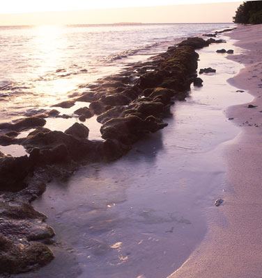 atoll shores