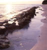 atoll shores