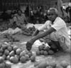 coconut dealer