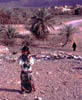 socotra girl