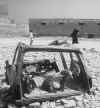 goats_in_car_bw_web.jpg (43292 bytes)