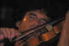 Violin CU.jpg (32491 bytes)
