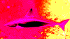 shark_black_death_web.gif (13355 bytes)